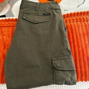 Sanctuary cargo pants